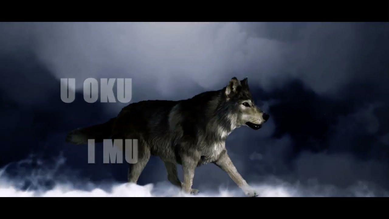 Miki Radojević - Da sam makar vuk [Official Music Video]