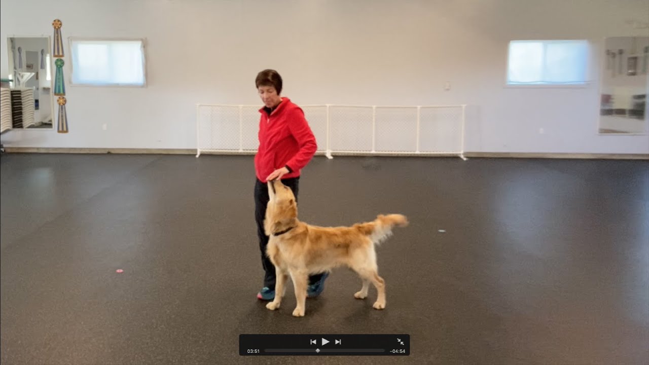 Starting Push Heeling with Janice Gunn