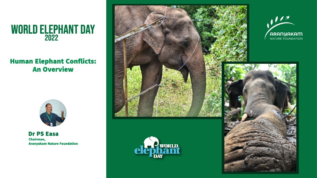 World Elephant Day Talk: Human Elephant Conflict, an overview by Dr PS Easa