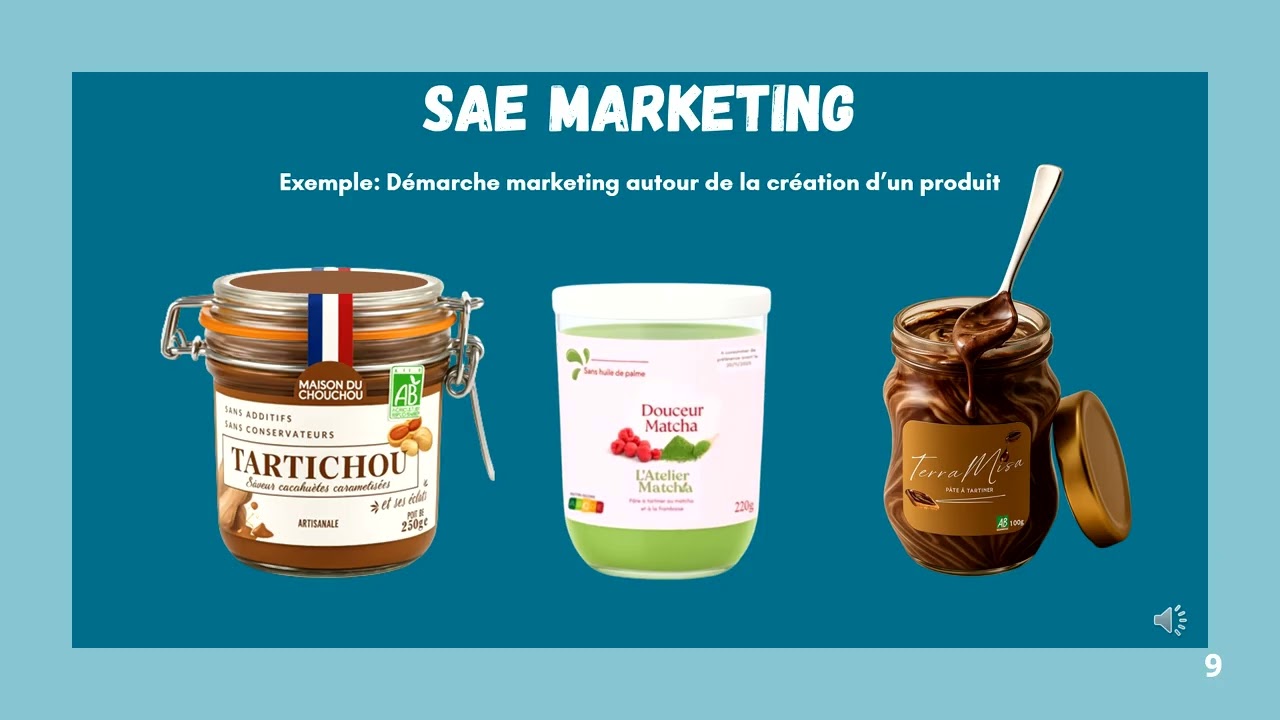 Présentation BUT Techniques de commercialisation