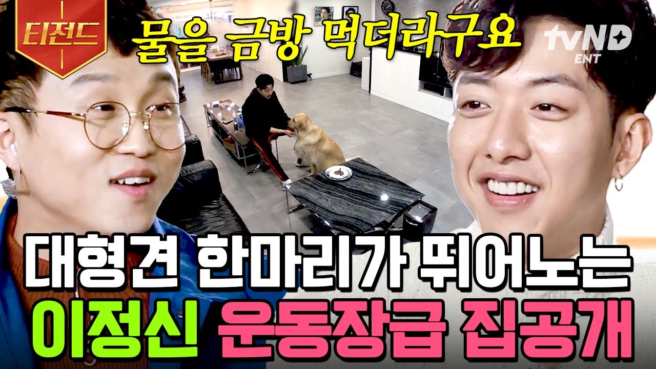 [#티전드] 문짝만 한 이정신과 리트리버가 사는 초大형 하우스🏠 세상에 둘만 보이는 꿀 떨어지는 일상 공개💕 | #대화가필요한개냥