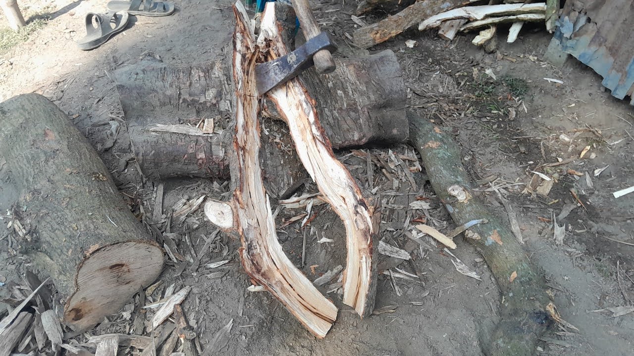 লাকড়ি কাটা। লাকড়ি কাটিং। গাছের ডালের লাকড়ি। ডুম লাকড়ি। লাকড়ি দাম জানুন। 