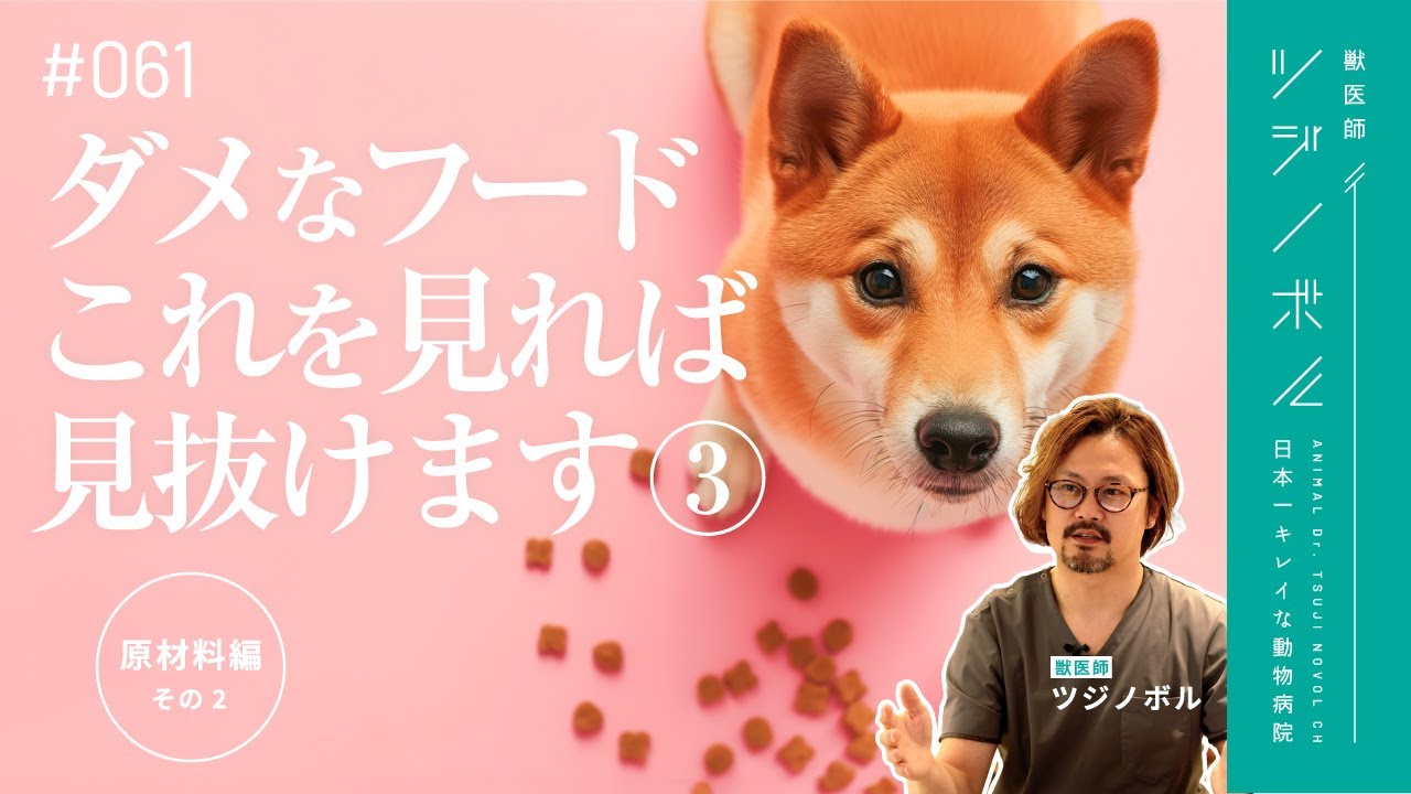 【ドッグフード】原材料に隠されたダメなフードの危険な秘密！【獣医師ツジノボル】