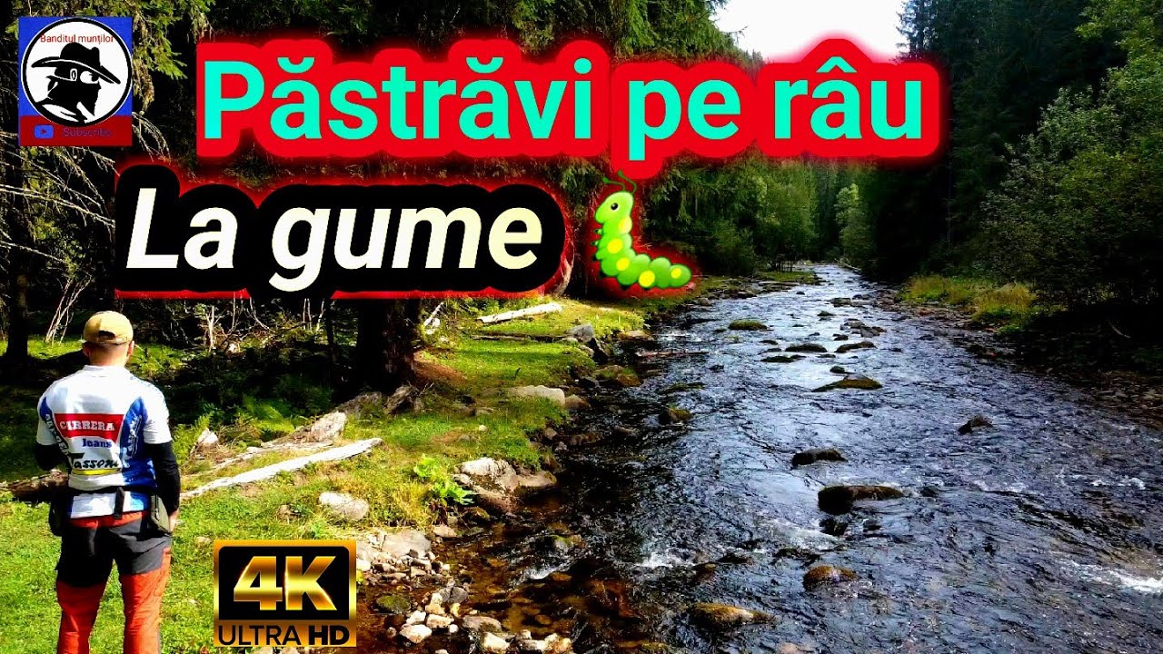 Pescuit PĂSTRĂV🐟 pe râu cu GUME 🐛 în Apuseni! trout fishing!