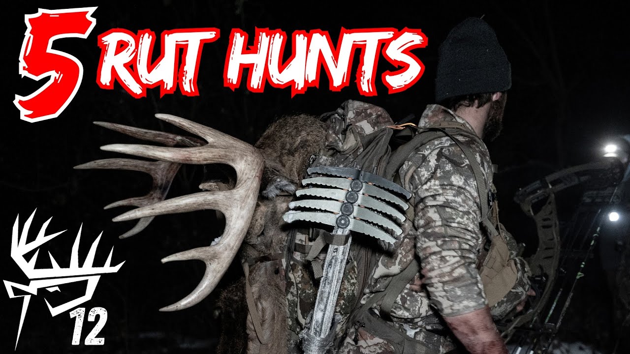 5 WHITETAIL RUT HUNTS