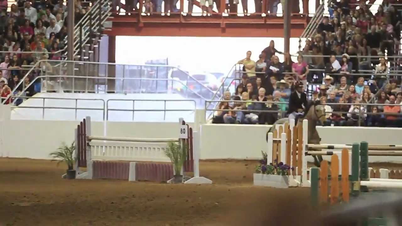 2012 Scottsdale Arabian Horse Show, Gamblers Choice Clips