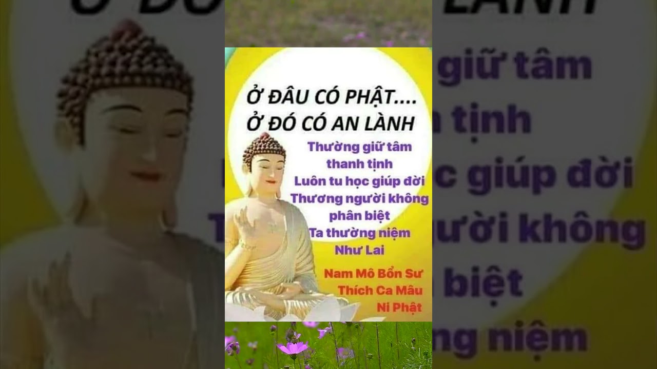 Ở Đ&Acirc;U C&Oacute; PHẬT... Ở Đ&Oacute; C&Oacute; AN L&Agrave;NH #SHORTS #AMAPMIENTAY
