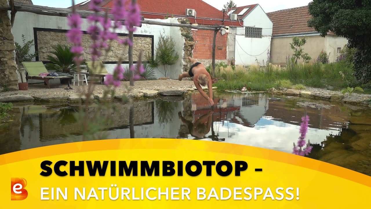 Schwimmbiotop: Naturerlebnis im Garten - meineEnergie.tv