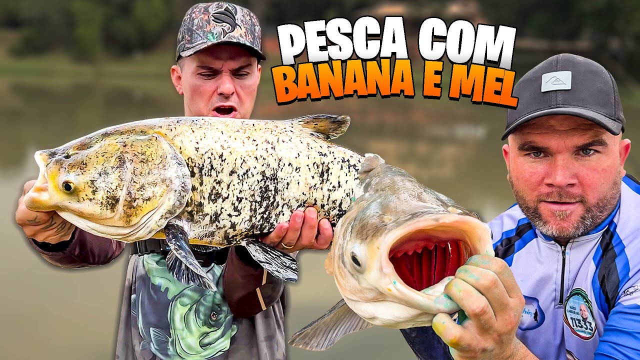 O SEGREDO FOI REVELADO! COMO BANANA E MEL PEGA TANTO PEIXE NO PESQUEIRO ?