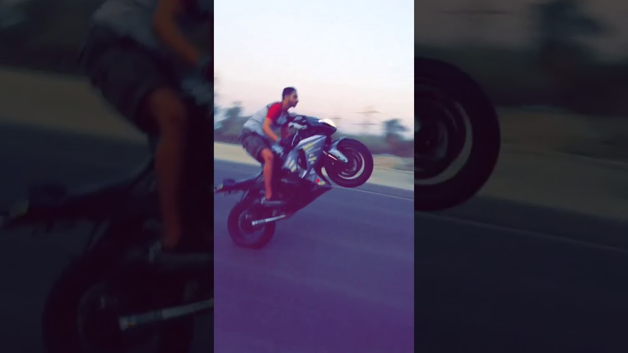 ويلات عزوز تميمي سراد
