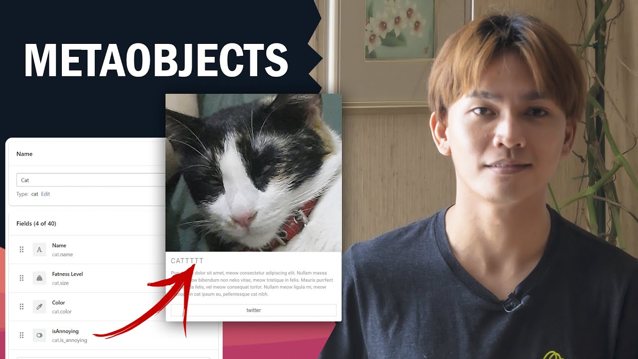 How To Use Metaobjects in Shopify (FULL TUTORIAL with Shopify Liquid)