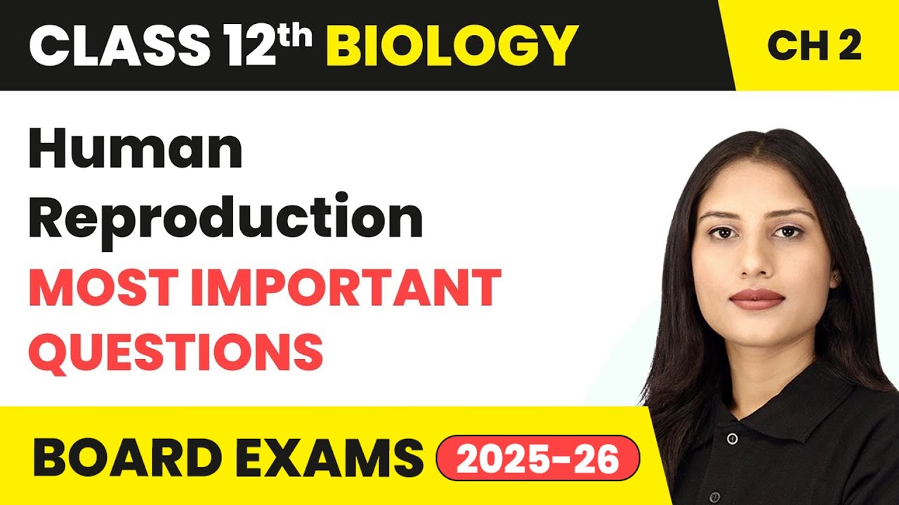 Human Reproduction - Most Important Questions | Class 12 Biology Chapter 2 | CBSE 2025-26