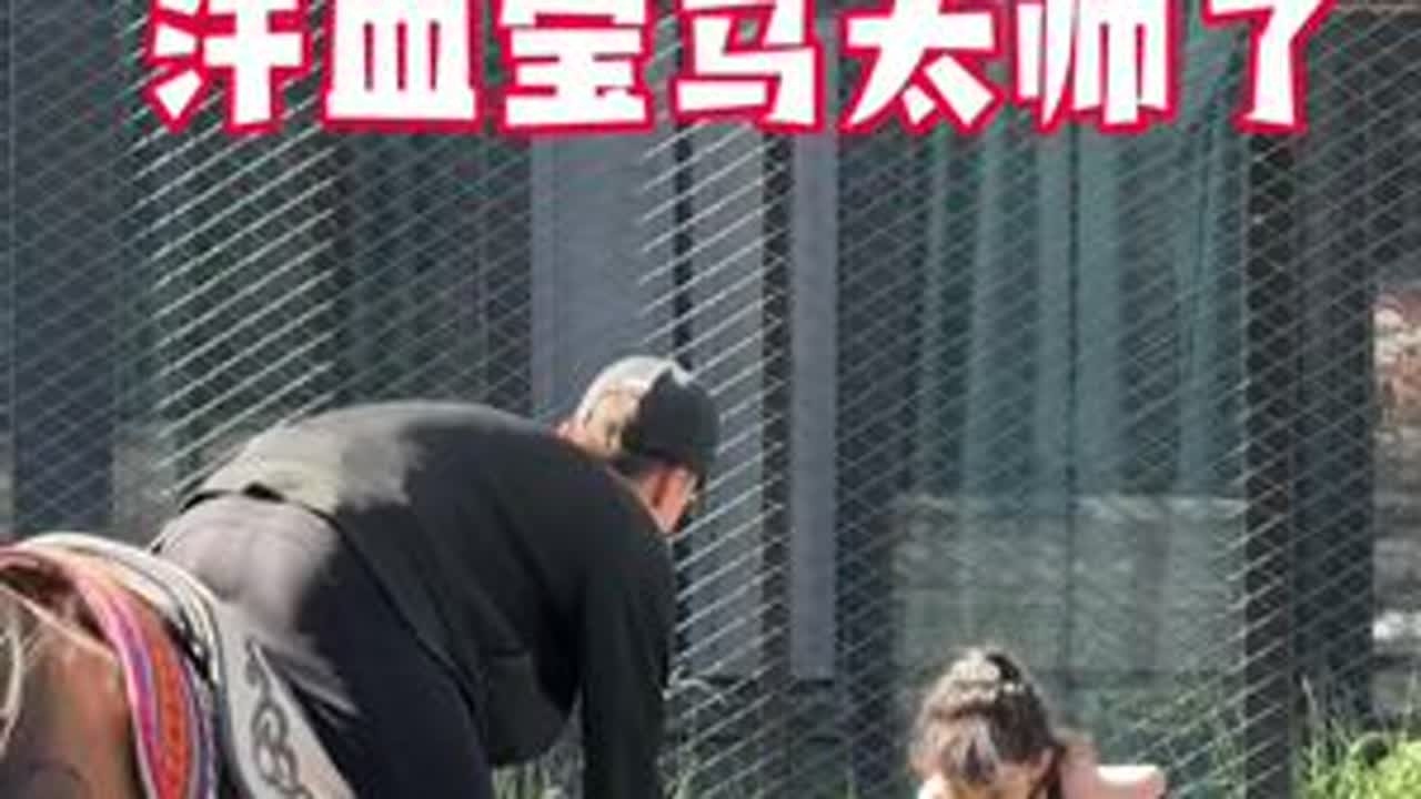 大马们也太帅了吧！汗血宝马这个品种真的是优秀！新疆古生态园值得一来#汗血宝马基地 #新疆古生态园 #新疆古生态园汗血宝马基地 #汗血宝马雪中和女孩互相行礼 #汗血宝马女骑士