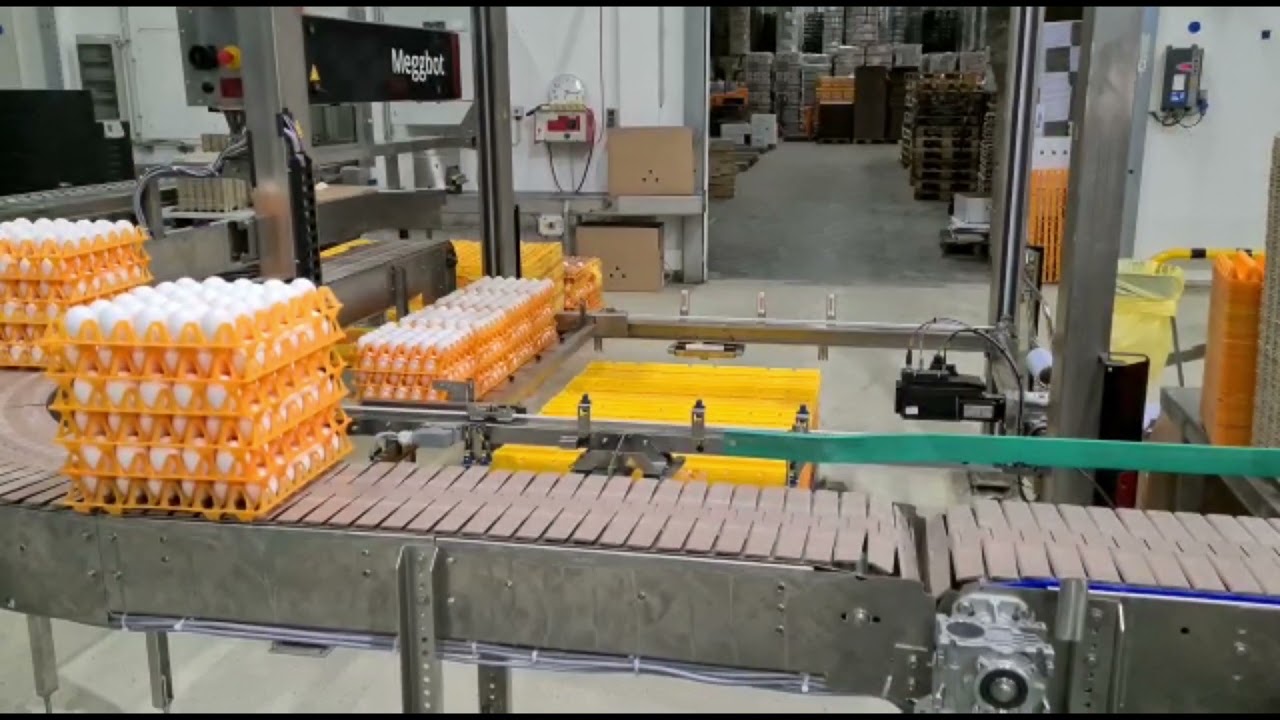 Meggbot TP100 eggs packing center