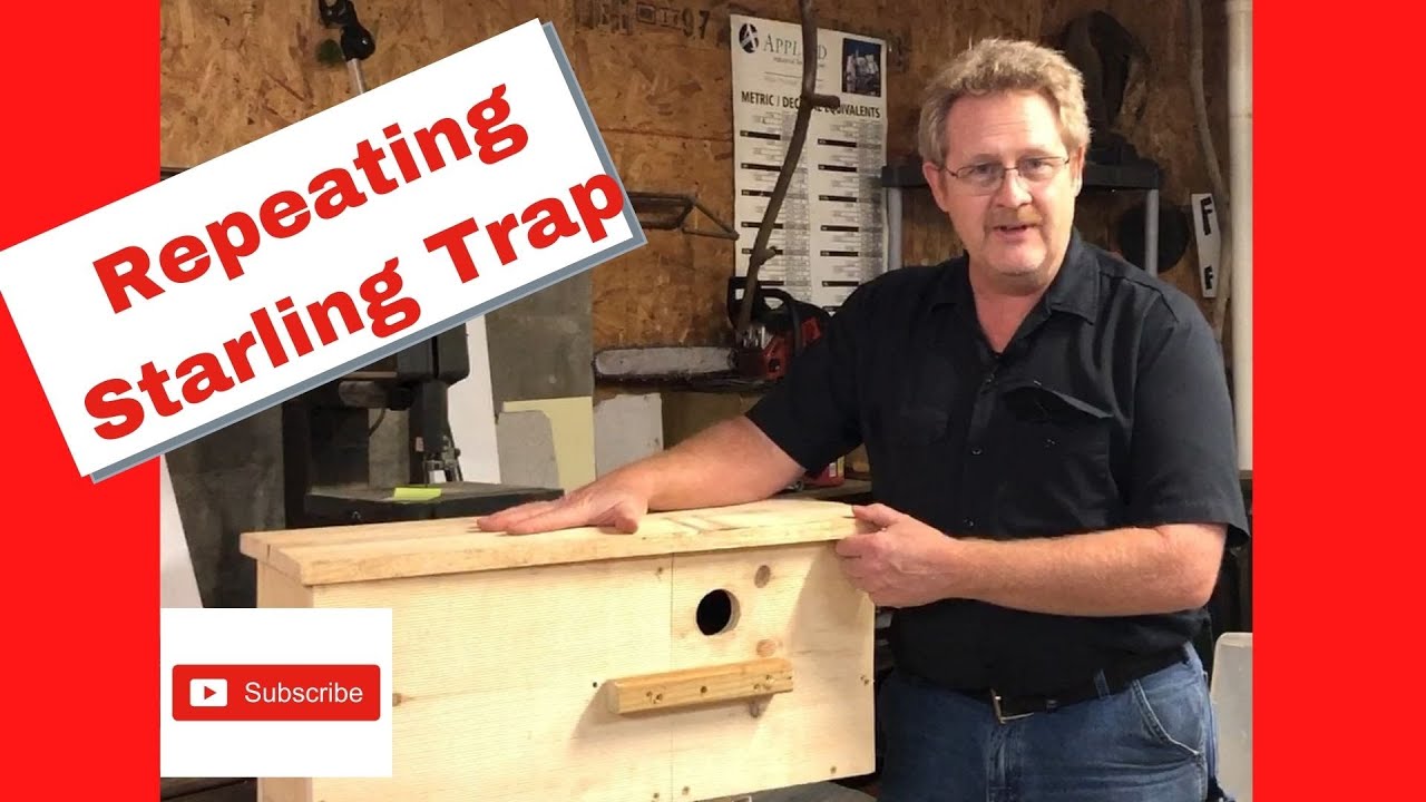 Repeating Starling Trap