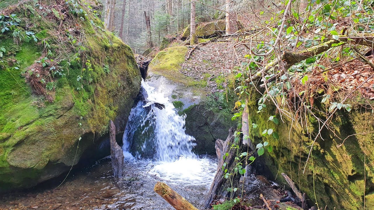 Дарваївські водоспади біля с. Кропивник (Вигодська СГ), 03/03/24