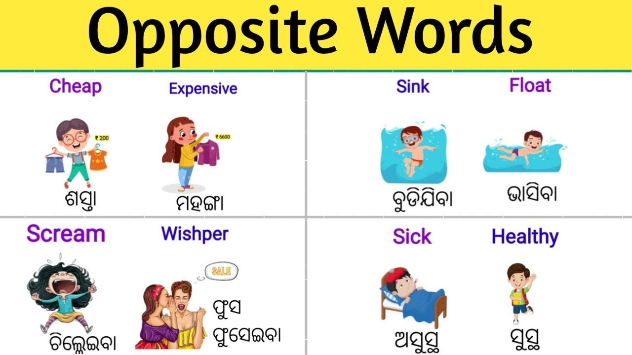 Opposite Words With Odia Meaning & Picture/Opposite Words/Daily Use Words With Odia Meaning/English