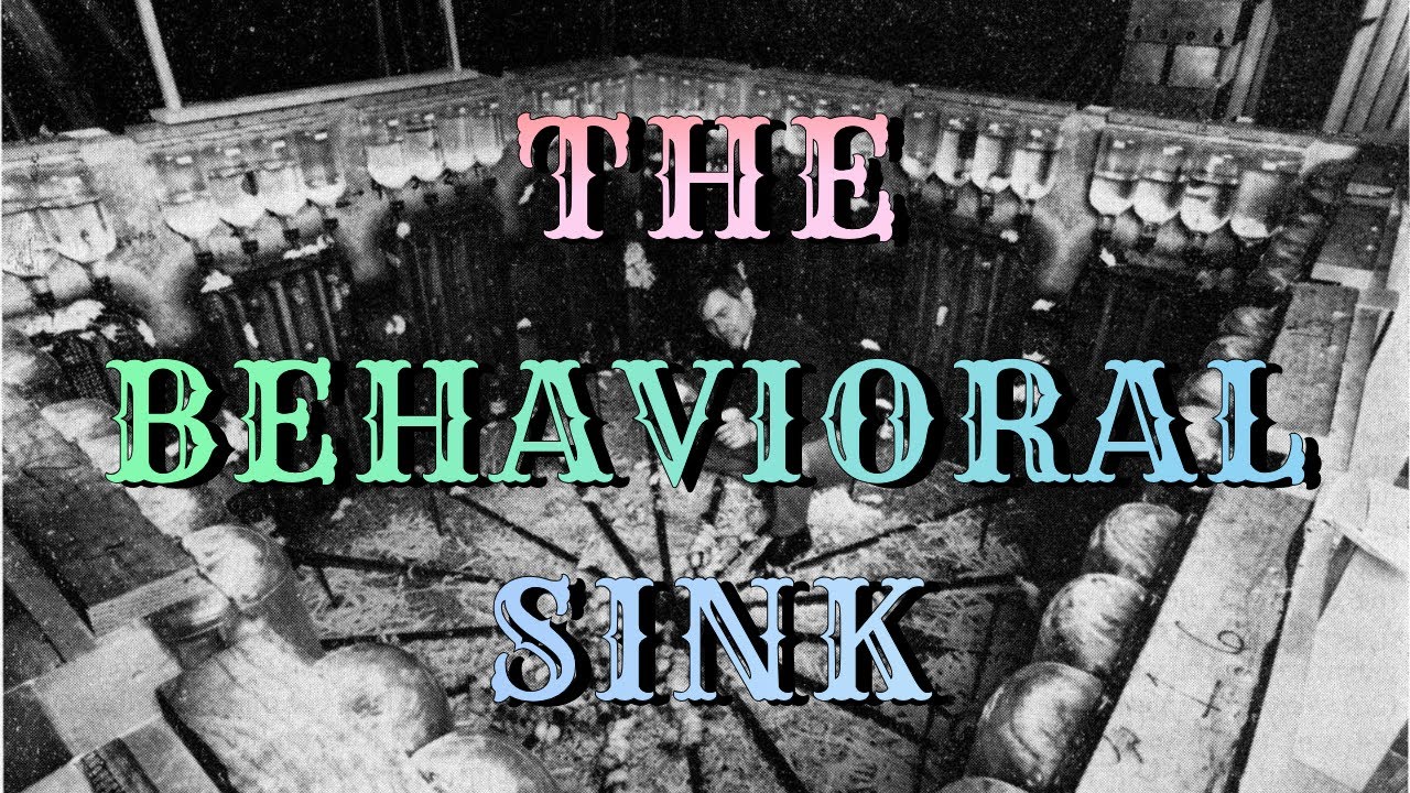 THE BEHAVIORAL SINK