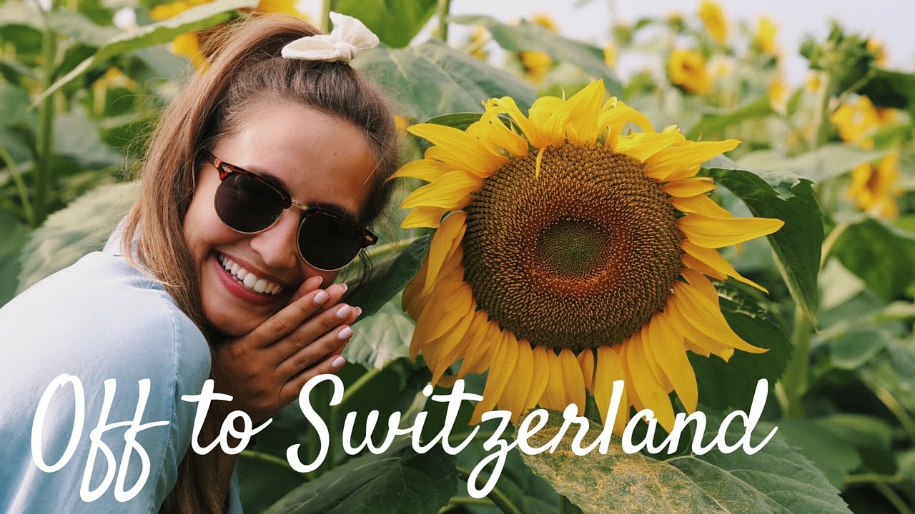 WE FOUND A SUNFLOWER FIELD | Europe Vlog 2