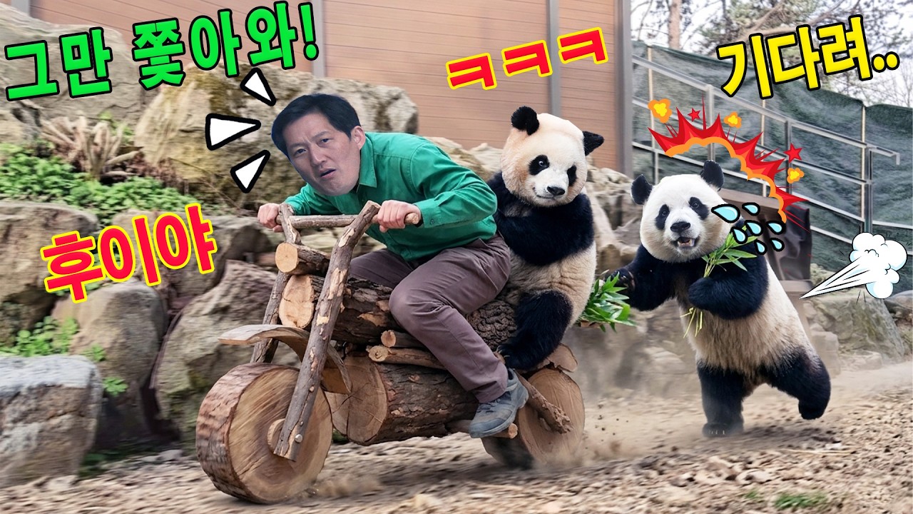 세상에💥송바오 할부지께 나무 오토바이를 소개받은 후👀후이와 루이는 계속해서 교대로 고속 질주를 즐겼어요!.💨💫ㅋㅋㅋ