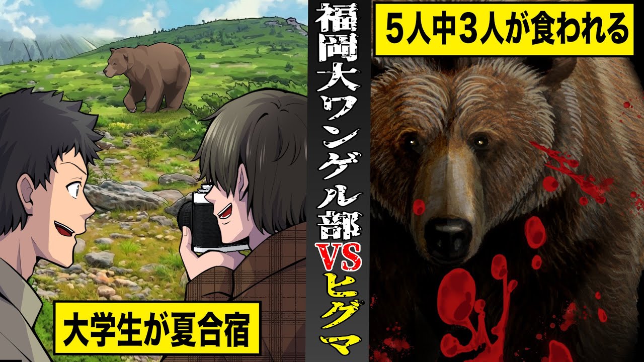 【実話】大学生で楽しい夏合宿のはずが...ヒグマに３人食われて大惨事。福岡大学ワンダーフォーゲル部ヒグマ事件。