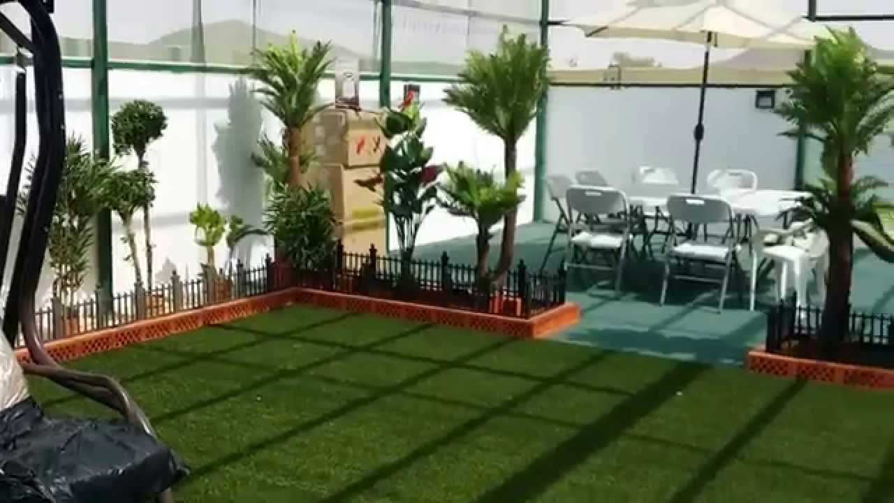 استغلال السطح حديقة