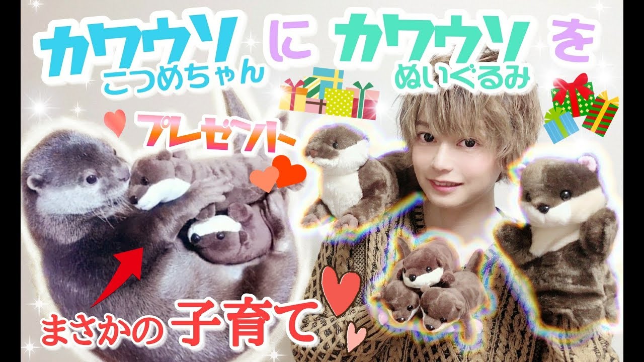カワウソにカワウソのぬいぐるみを渡したらまさかの行動に…！！The result of giving the otter a stuffed animal !！