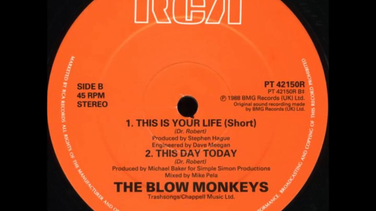 The Blow Monkeys - This is Your House