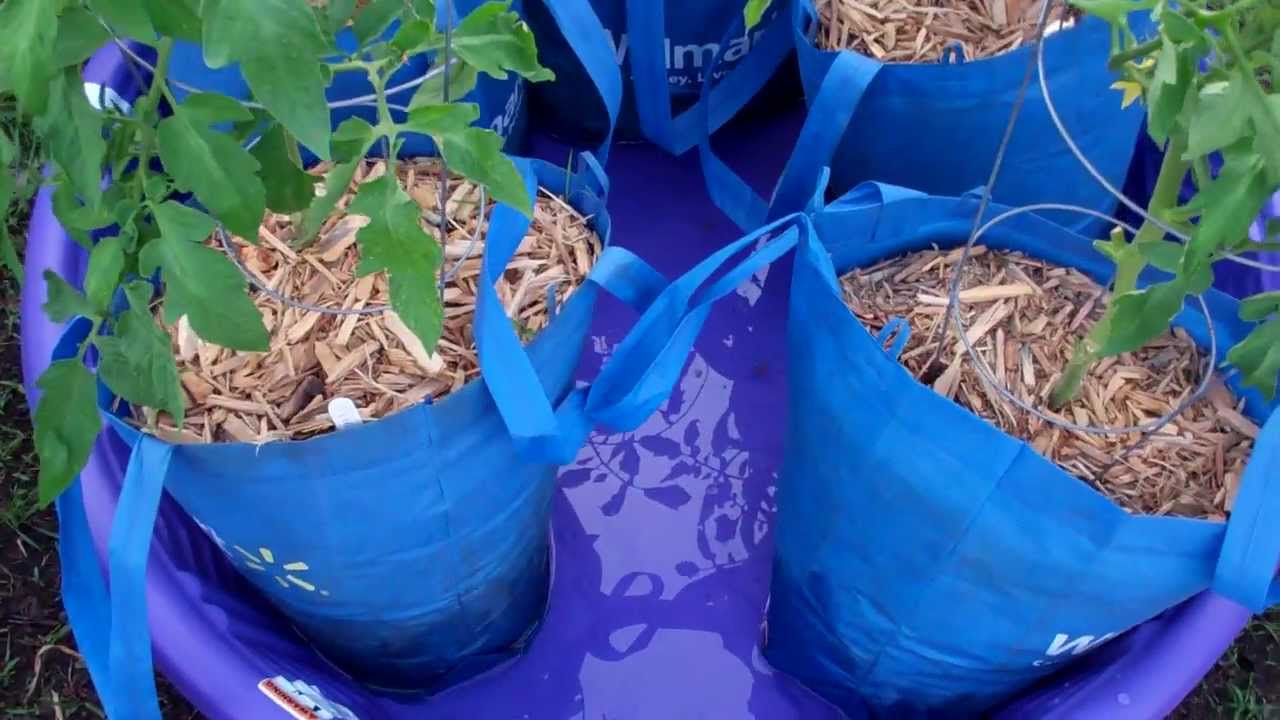 The Kiddie Pool Sub-Irrigated Planter? Crazy Idea? Well maybe not!