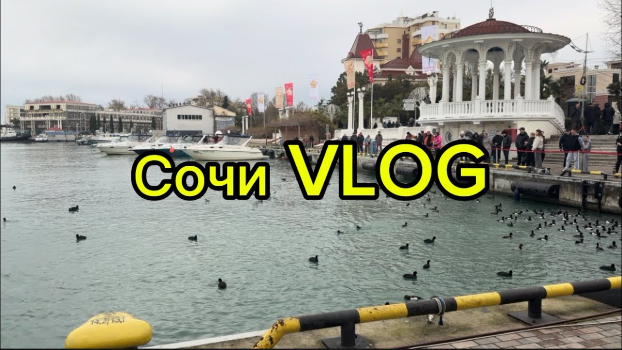 Влог из Сочи, Mantera , вкусные рестораны и красивые места #влог #путешествия 
