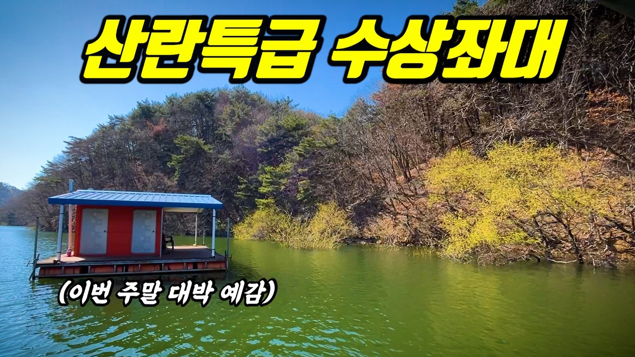지금 당장 가시면 무조건 대박입니다. 붕어들 대기 중인 산란 특급 포인트