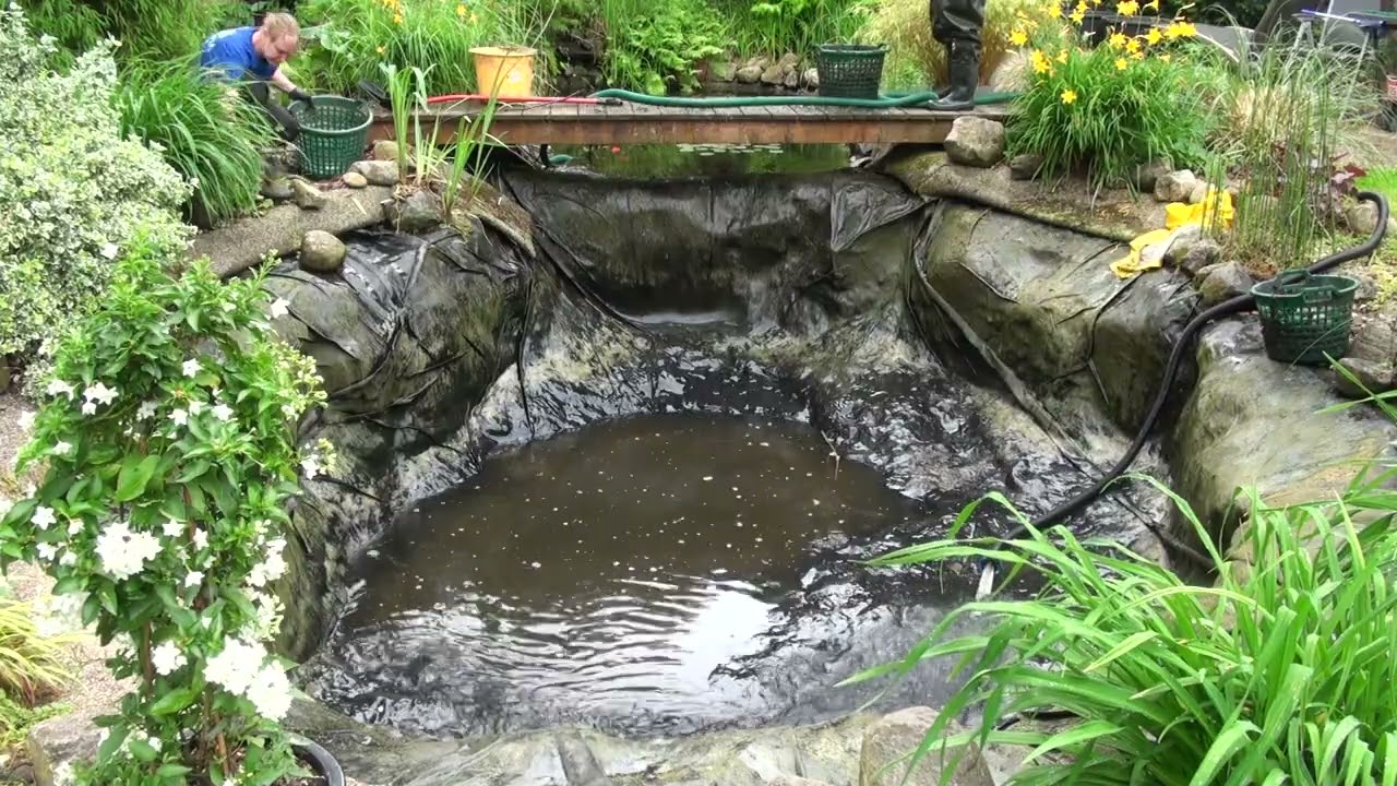 🐠 500 Goldfische – und noch nie gereinigt! // 500 Goldfish, Zero Cleanings – Until Now!