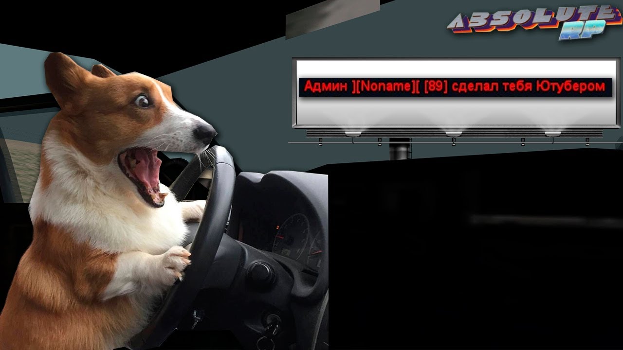 ВЫДАЛИ ЮТУБЕРКУ НА АБСОЛЮТ РП  ХРОМИУМ / absolute rp 3 chromium gta samp