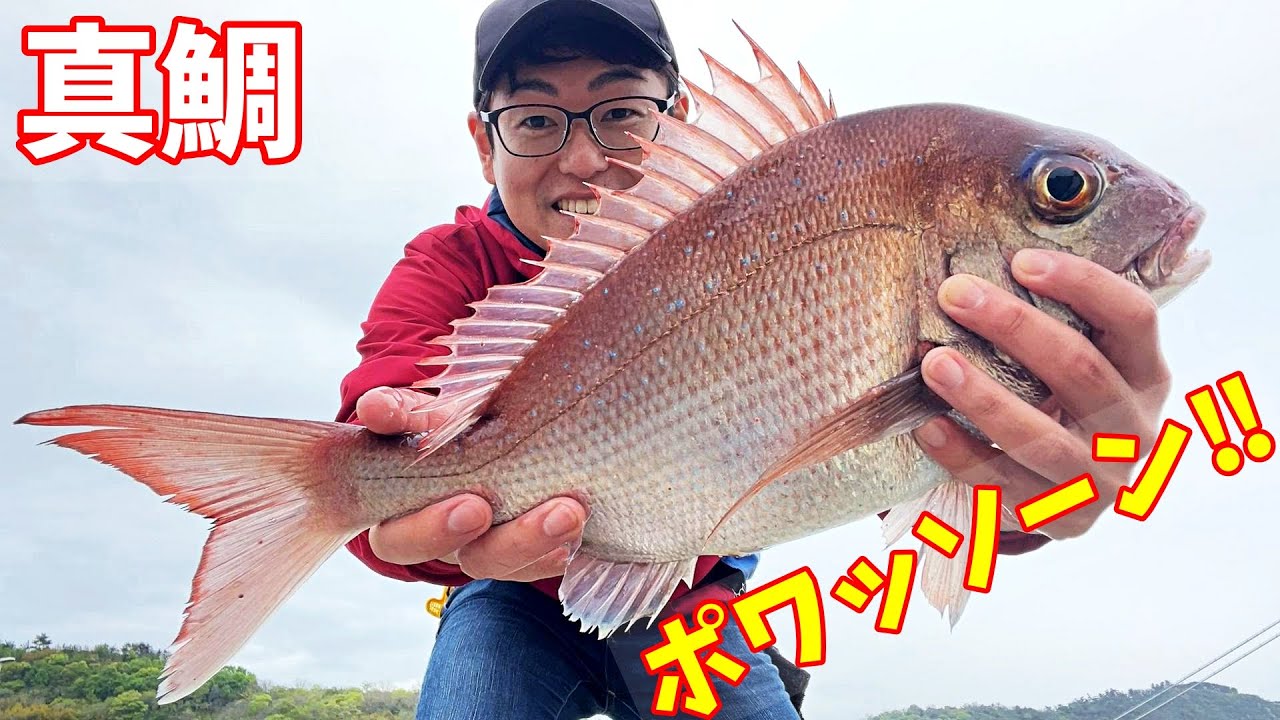【マダイ】短時間で海の王者マダイが釣れた！