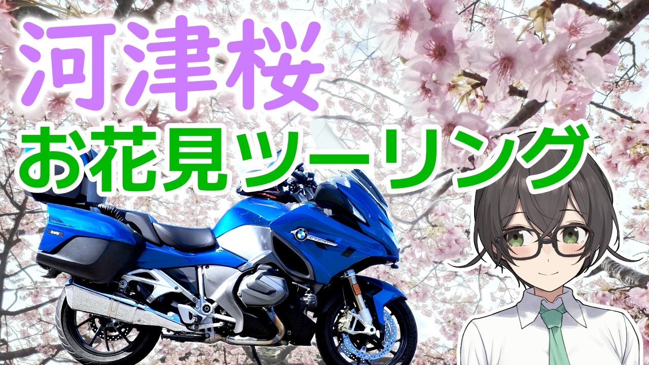 【R1250RT】旅日記4 河津桜ツーリング【西伊豆/南伊豆】