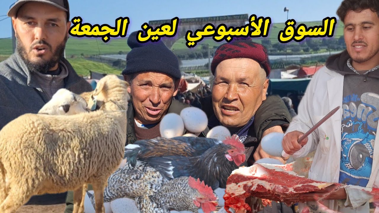 من السوق الأسبوعي لعين الجمعة بتاريخ 08/03/2026 وأثمنة البيض الدجاج الخضر الفواكه واللحوم الحمراء