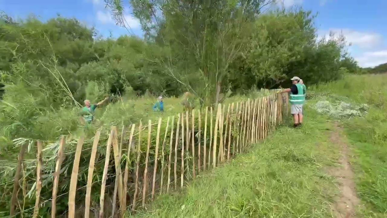 🌿 A Job Well Done – Fencing Tour & Coppicing at Marton Mere