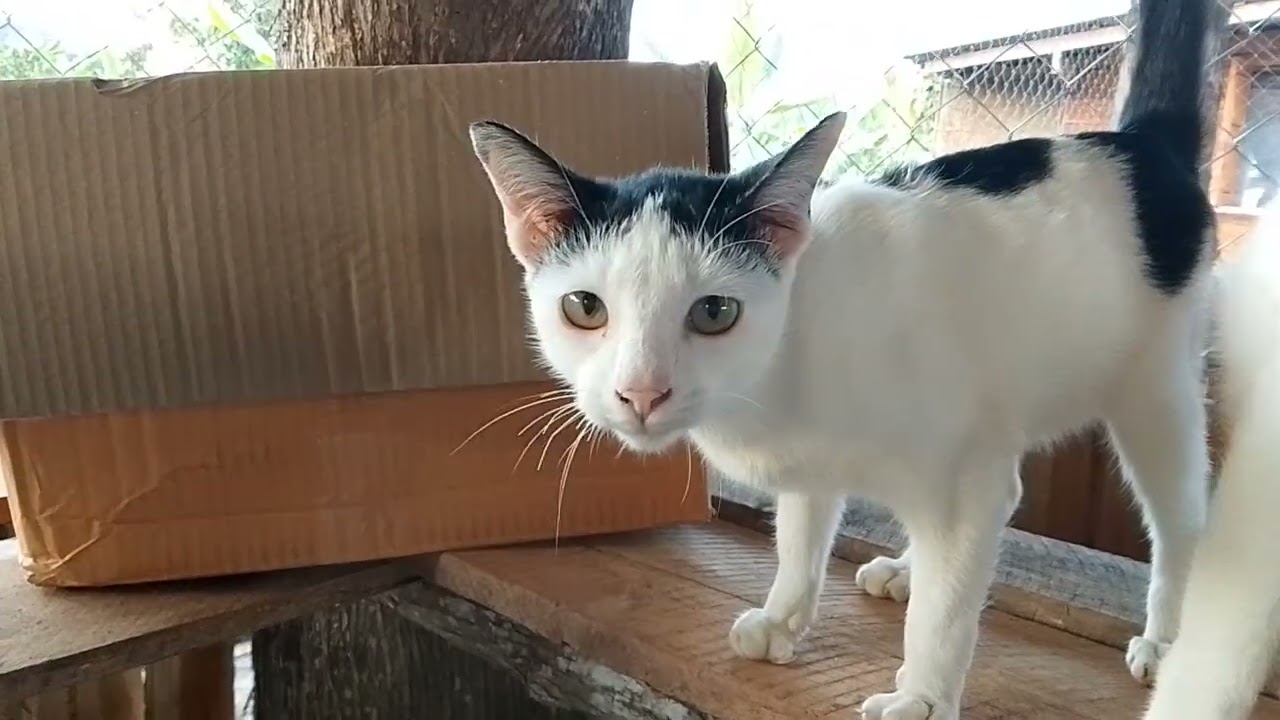 ยามเย็นเดินเล่นกับพวกเด็กๆ