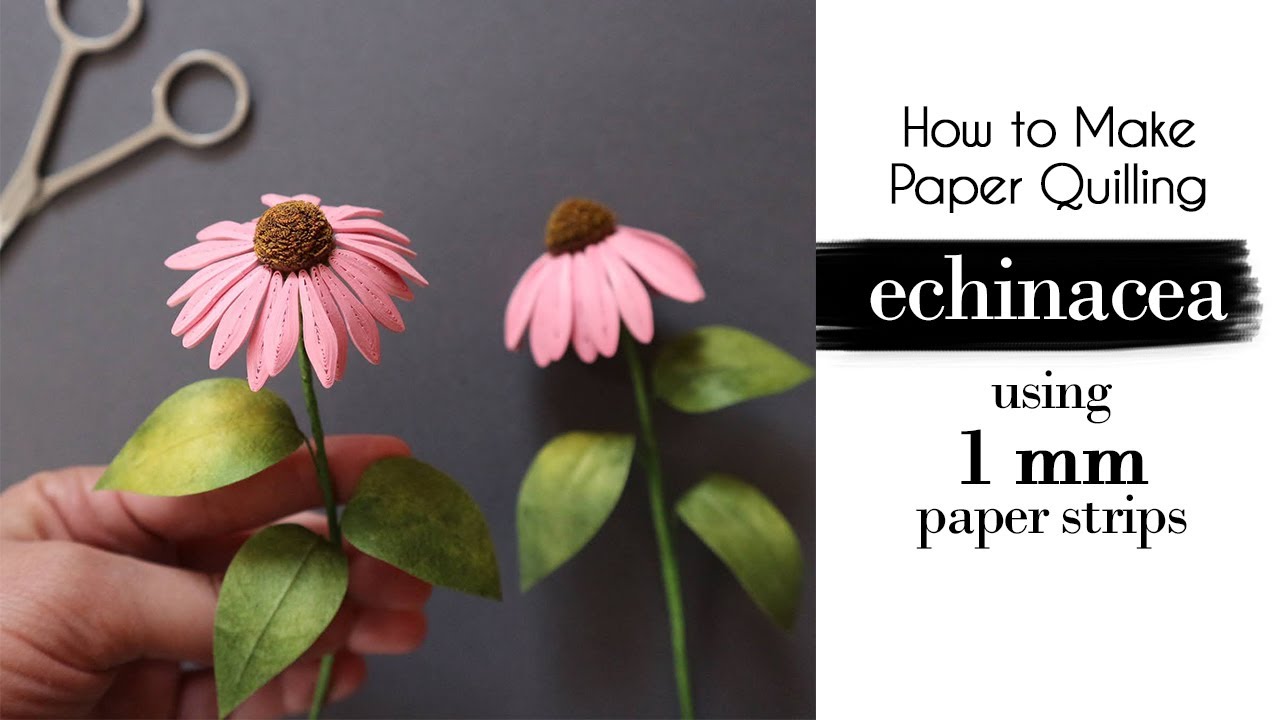 How to Make Paper Quilling Echinacea | Coneflowers | DIY Flowers Ideas