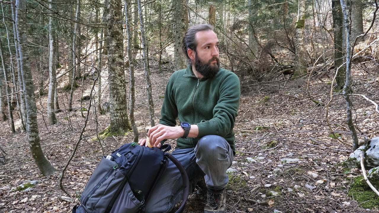 Balade en forêt - Chercher des bois de cerf et réfléxions