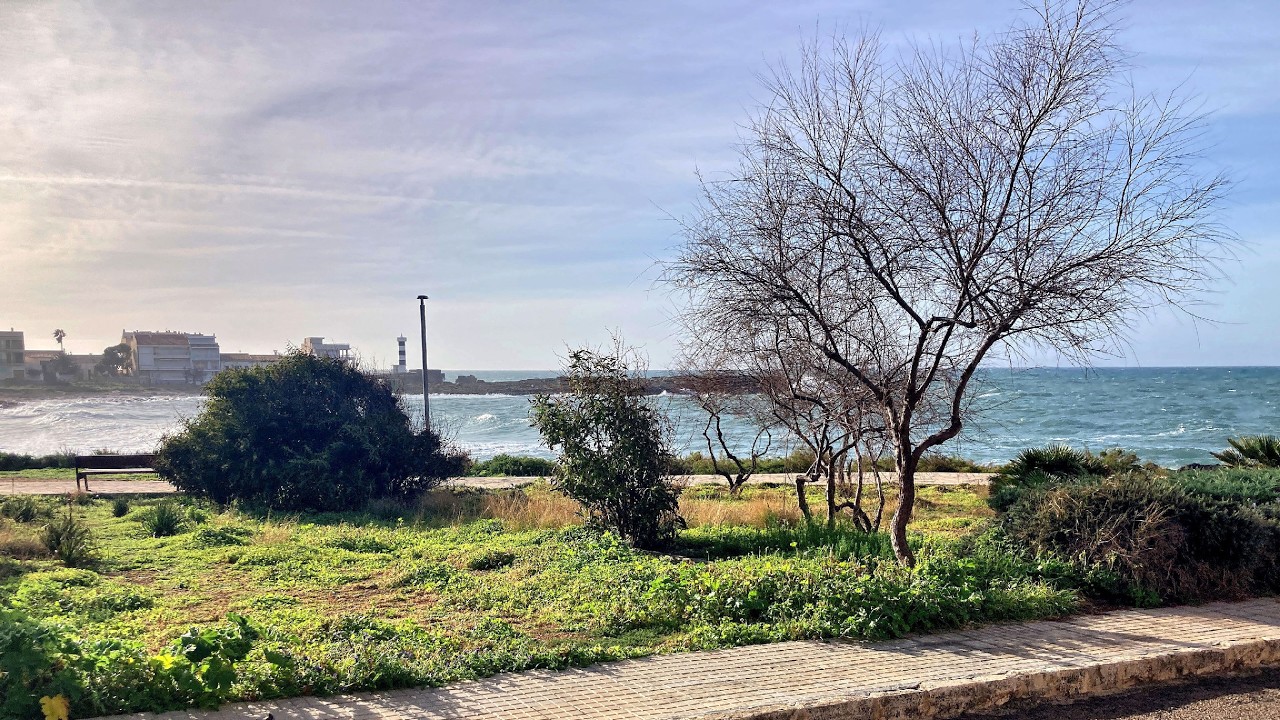 Colonia de Sant Jordi 2026 02 16