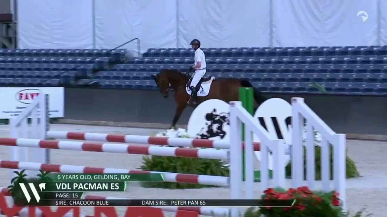 VDL Pacman Presentatie - WEF Sport Horse Auction 2026
