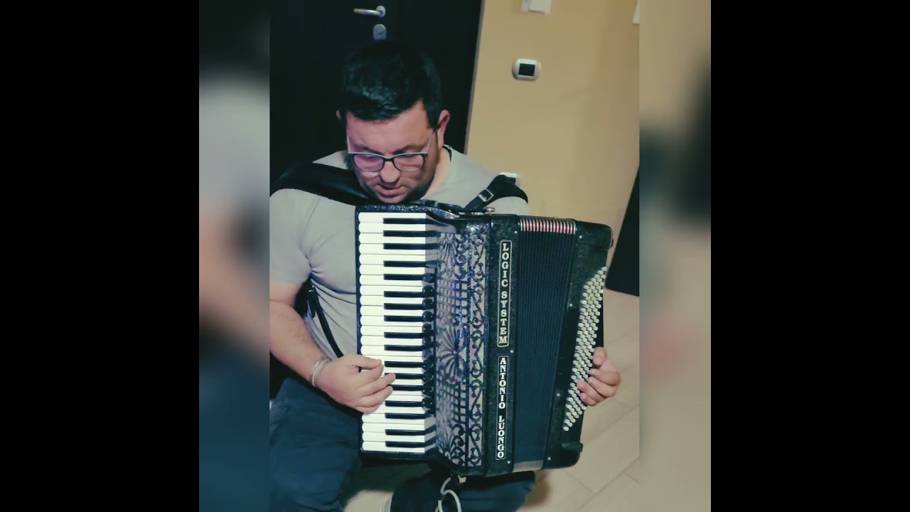 Valzer ELETTRICO Gigi Stok  #music #fisarmonica #valzer #live