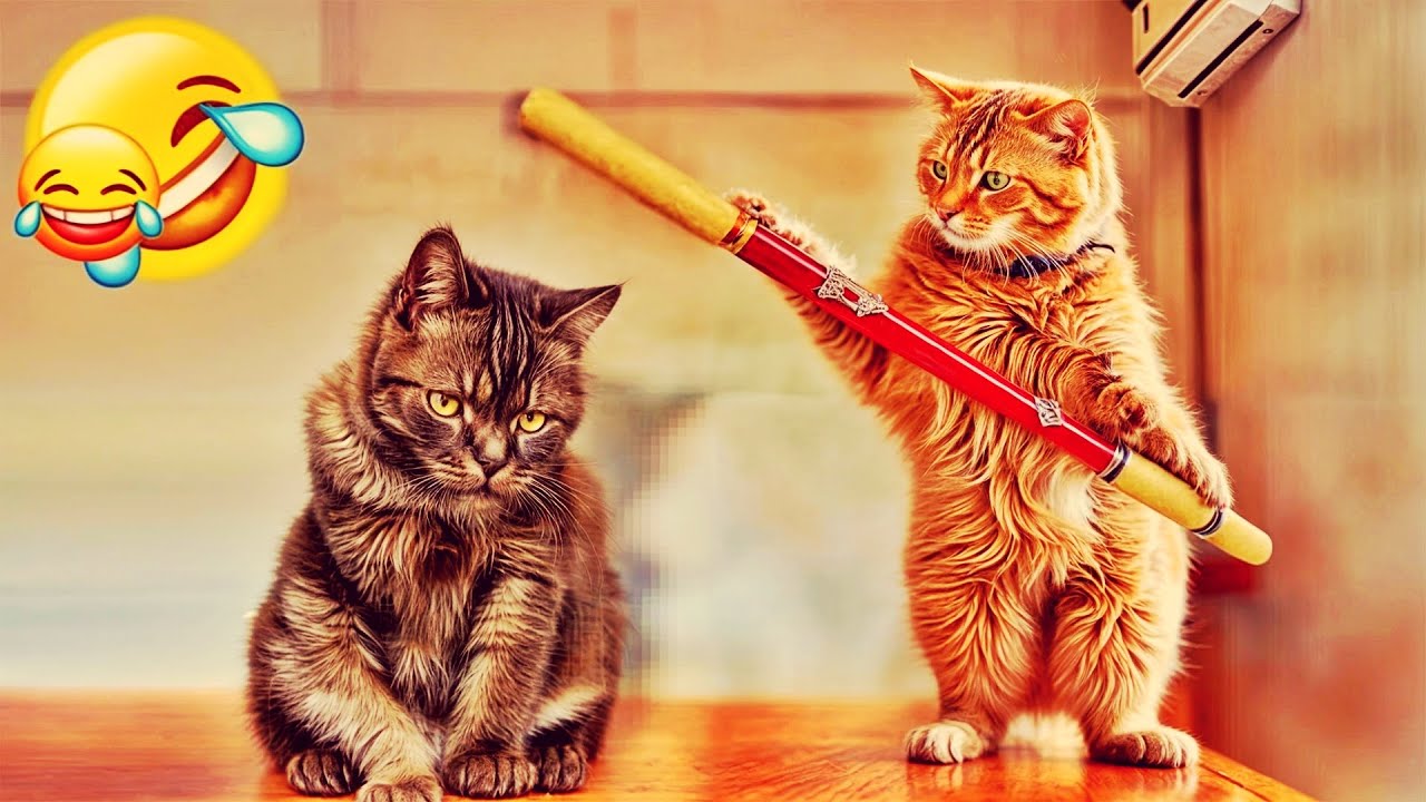 𝐅𝐮𝐧𝐧𝐲 𝐃𝐎𝐆𝐒 𝐚𝐧𝐝 𝐂𝐀𝐓𝐒 𝐕𝐢𝐝𝐞𝐨𝐬 𝟐𝟎𝟐𝟒 🐱😸🐶 𝐁𝐞𝐬𝐭 𝐅𝐮𝐧𝐧𝐢𝐞𝐬𝐭 𝐀𝐧𝐢𝐦𝐚𝐥 𝐕𝐢𝐝𝐞𝐨𝐬 🤣