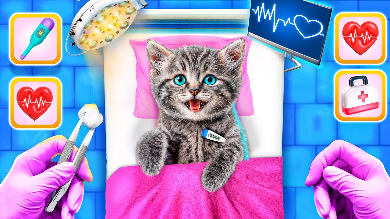 How to Take Care of Your Pet! Smart Gadgets and Hacks for Pet Owners!