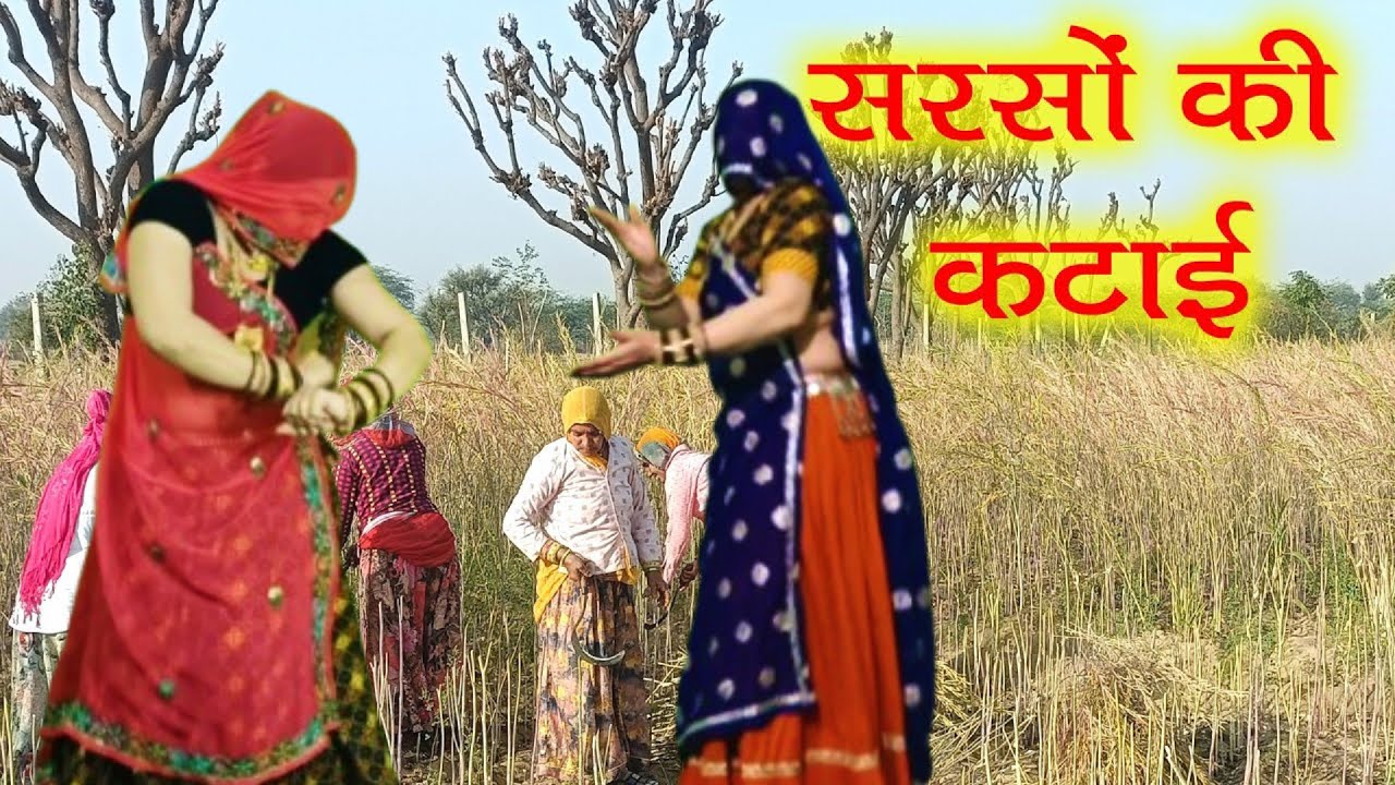 सरसों कटाई MeenaGeet / परण्या खा तक सरसों काटूं पडगा हाथ में छाला | meenadance /Ramprasadsamel/Reena