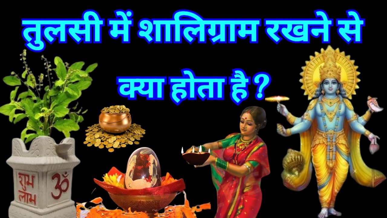तुलसी के पौधे में रखे ये 1 चीज गरीबी समाप्त हो जाएगी धन की प्राप्ति होगी कहते है भगवान विष्णु