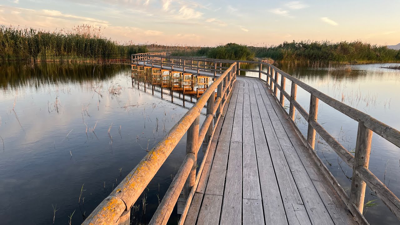 Parque natural el Hondo 🦆🦆🦆 #parquesnaturales #viajar #aves #ornitologia