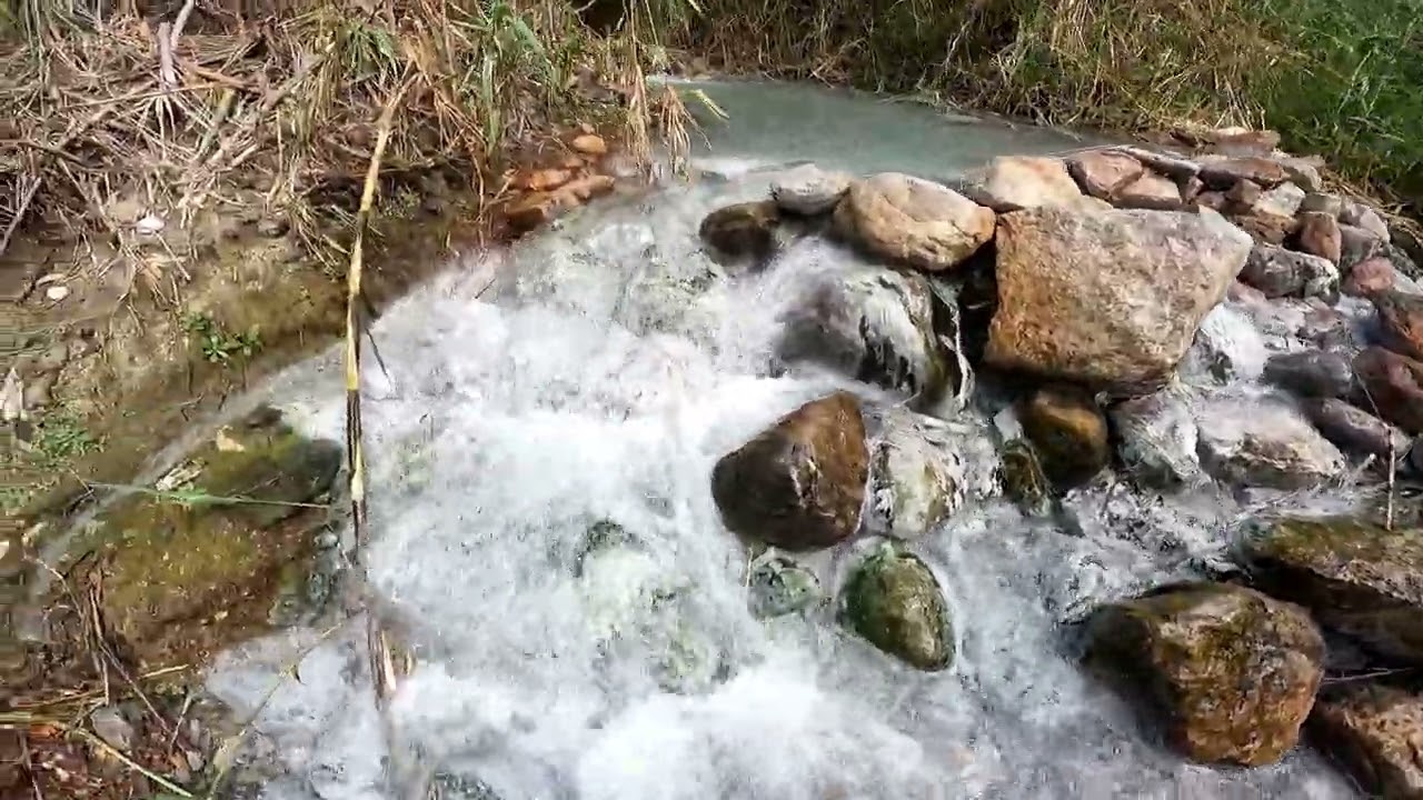 Baños de la Hedionda, Casares 2025