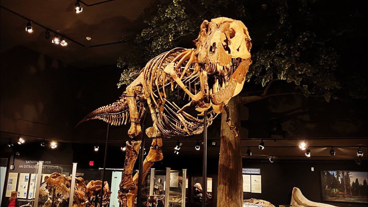 Museum of the Rockies - Bozeman, Montana